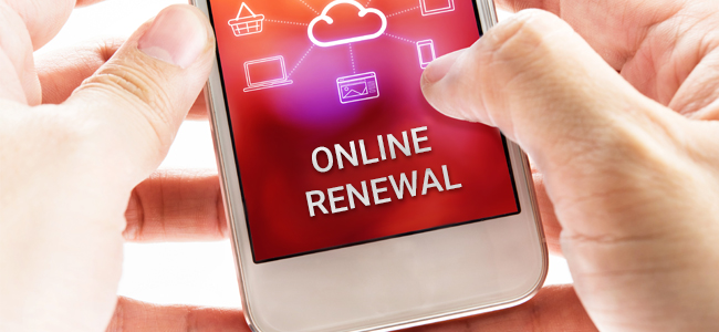 Your Website of the Month: New – How to Renew Your Car Licence Disc Online