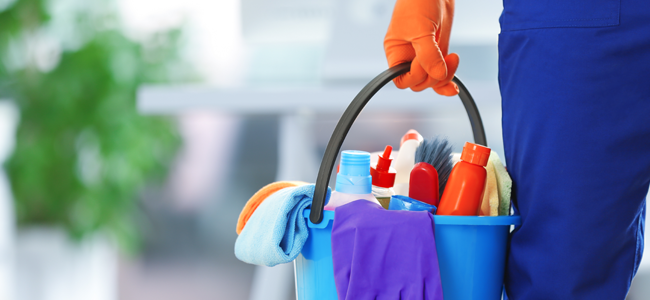 Understanding Your Legal Obligations as an Employer of Domestic Workers