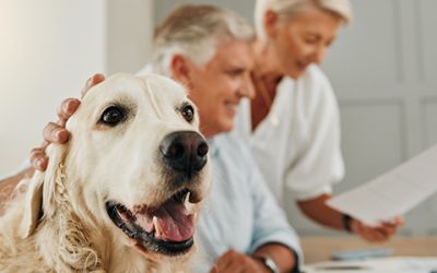 Estate Planning: Remember your Pets!